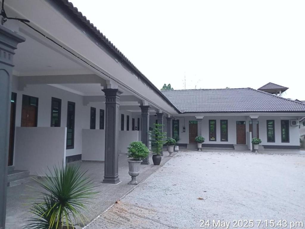 Kampung RajaにあるSuria guesthouseの中庭の鉢植え白家