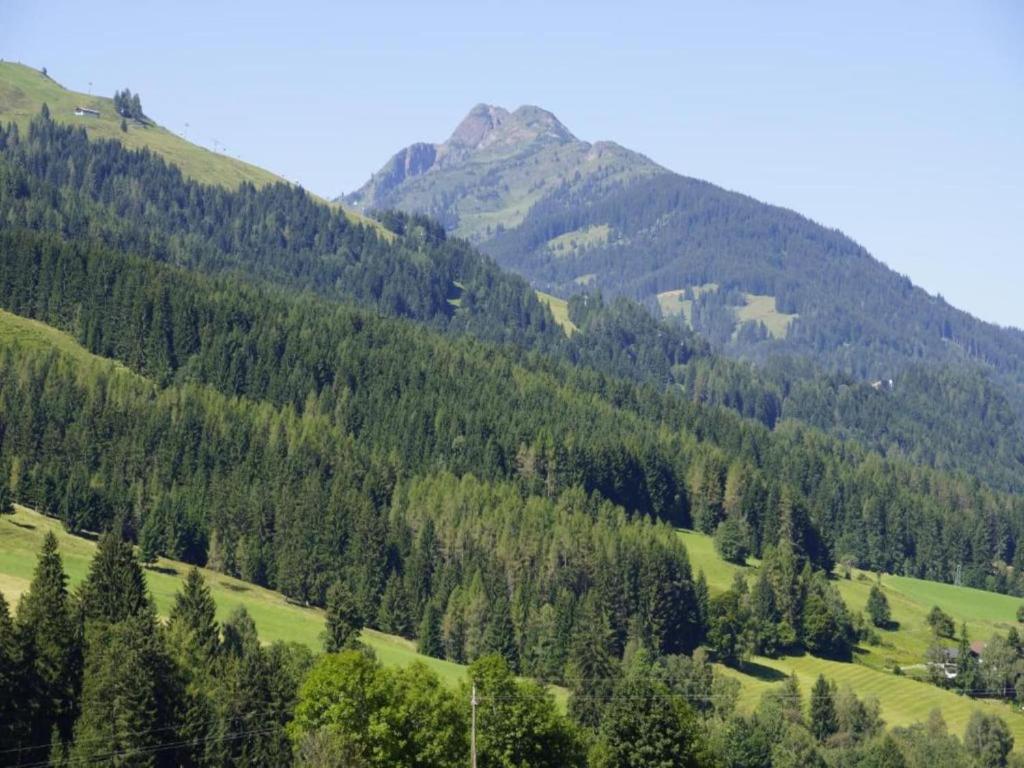 Príroda v okolí apartmánu