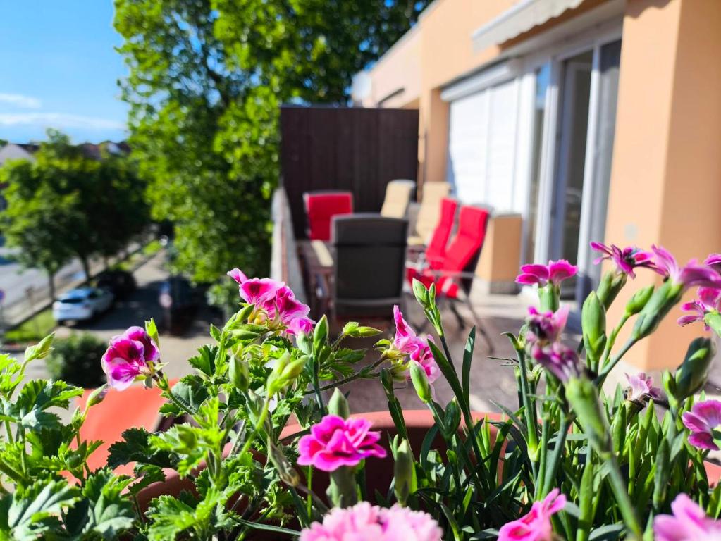 A garden outside 100 lépés - 100 steps - Apt with huge terrace next to the thermal bath