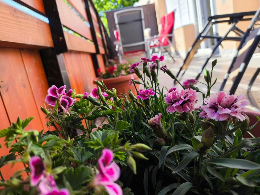 A garden outside 100 lépés - 100 steps - Apt with huge terrace next to the thermal bath