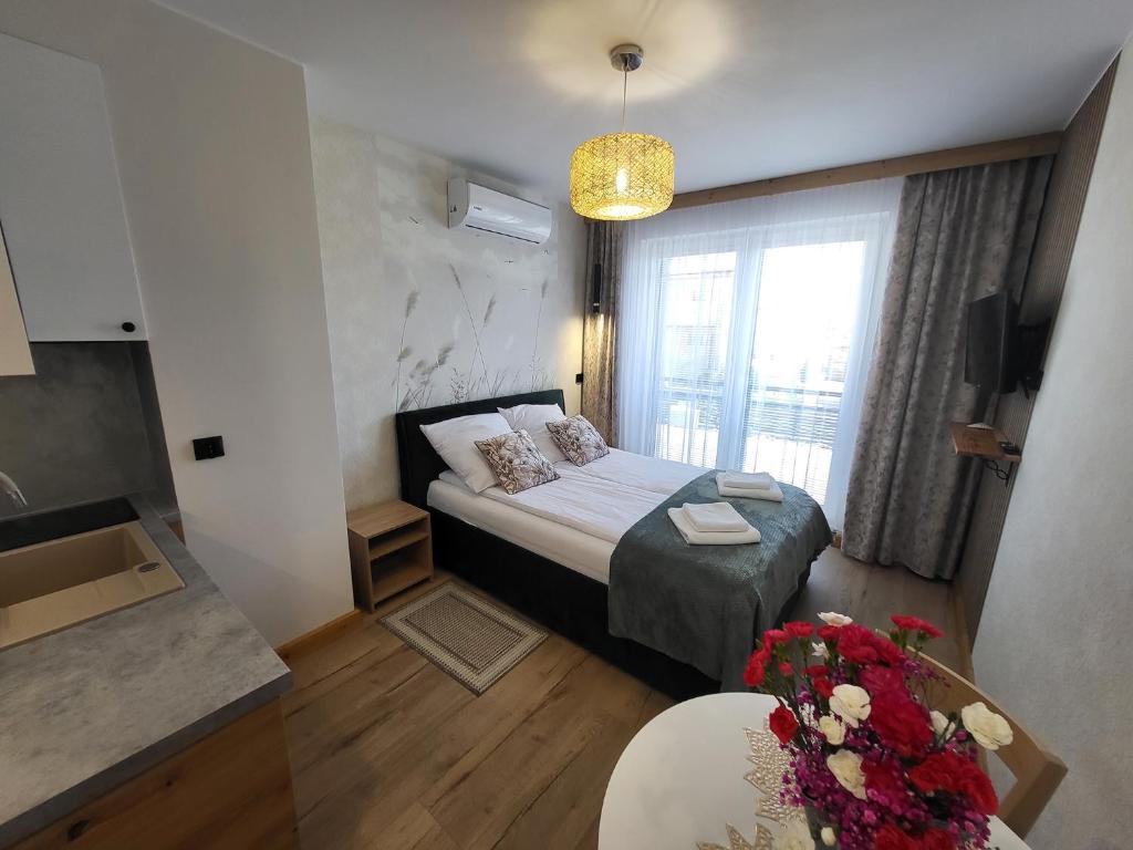 Zatoka Wypoczynku Apartamenty - 1