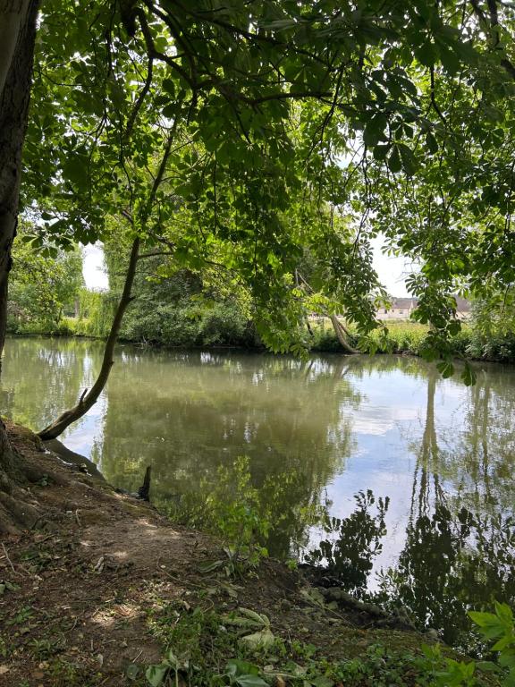une masse d'eau avec des arbres et une rivière dans l'établissement Séjour insolite sur une île, à Ézy-sur-Eure