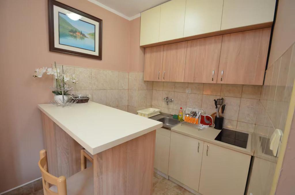 Kuchyň nebo kuchyňský kout v ubytování Sea View Studio Dobrota