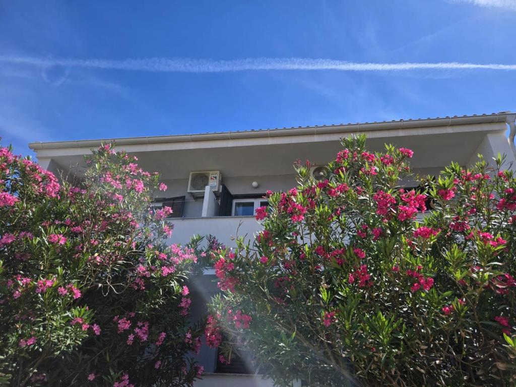 a house with pink flowers in front of it at Apartments Manta in Pag