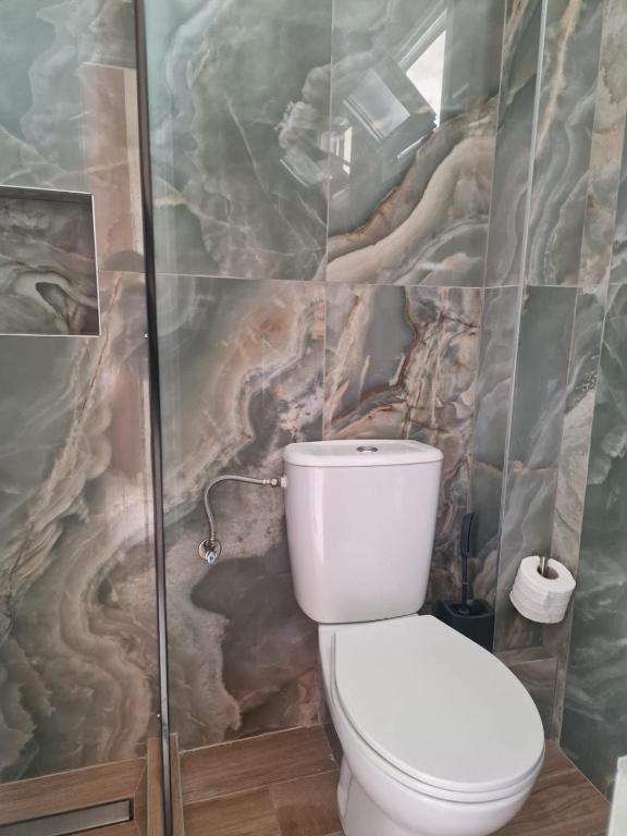 a bathroom with a toilet and a walk in shower at Pension Delfini in Asprovalta