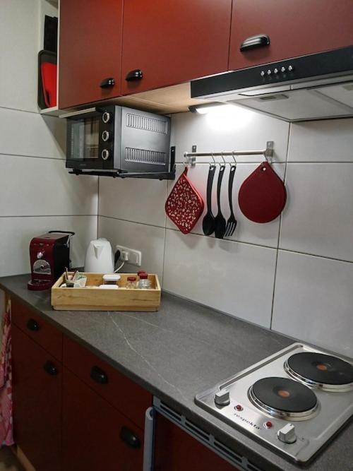 Kuchyň nebo kuchyňský kout v ubytování Studio Holunder Weissbriach