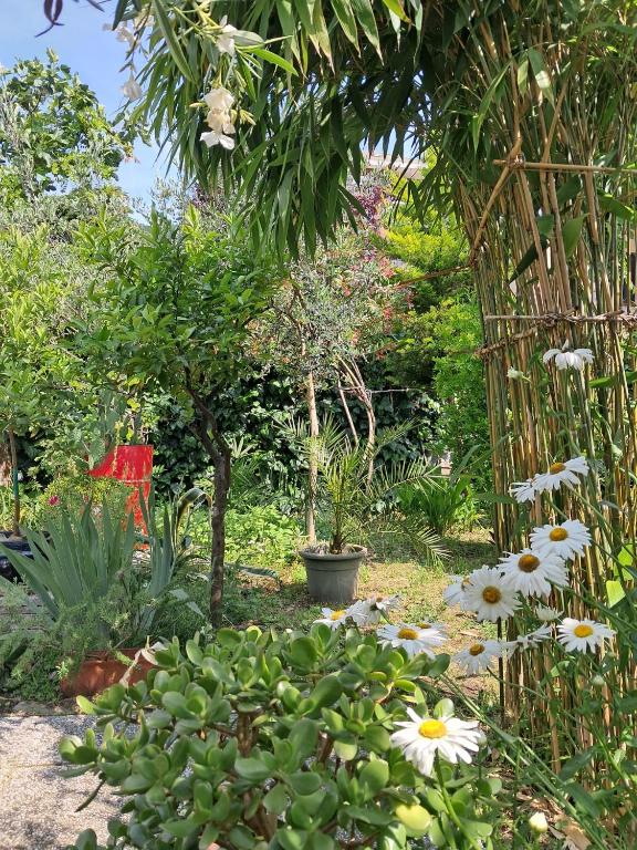 Room with a garden