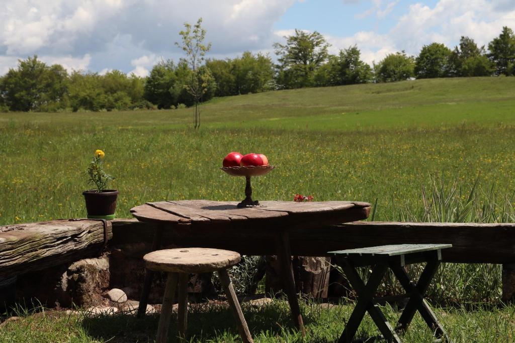 Zahrada ubytování EcoFit Povlen