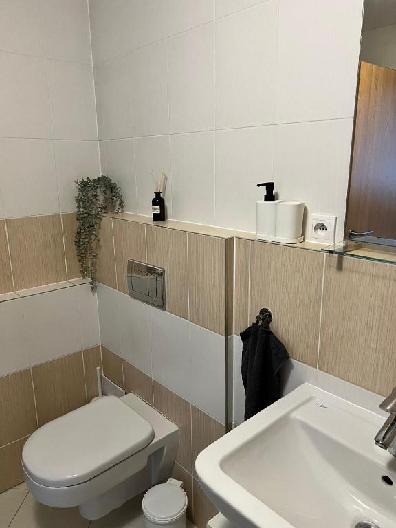 Koupelna v ubytování Airport Apartman Víšek
