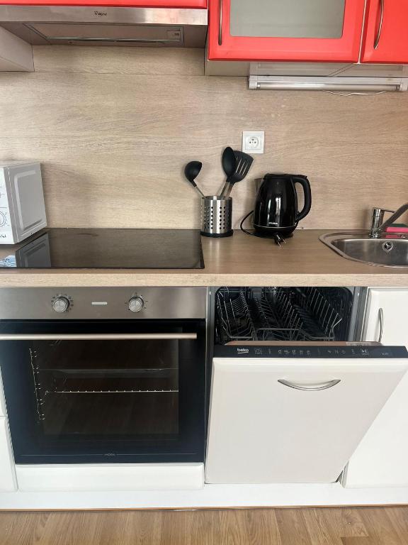Kuchyň nebo kuchyňský kout v ubytování Airport Apartman Víšek