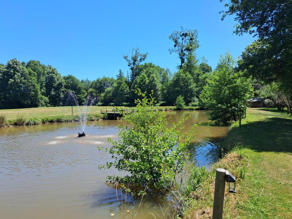 a pond with a fountain in the middle of it at Moulin Du Pommier Glamping & Camping in Saulgond