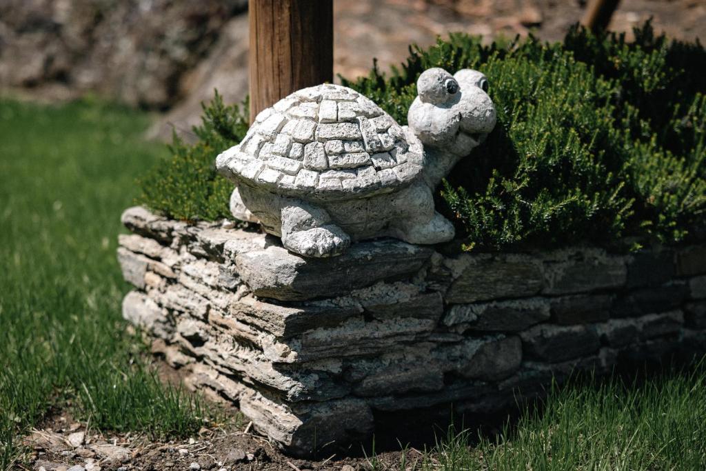 Fotografie z fotogalerie ubytování Agriturismo Alberobello v destinaci Viganella