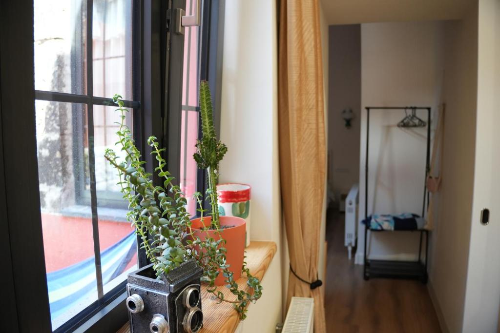 Fotografie z fotogalerie ubytování Communa Guesthouse v destinaci Gjumri