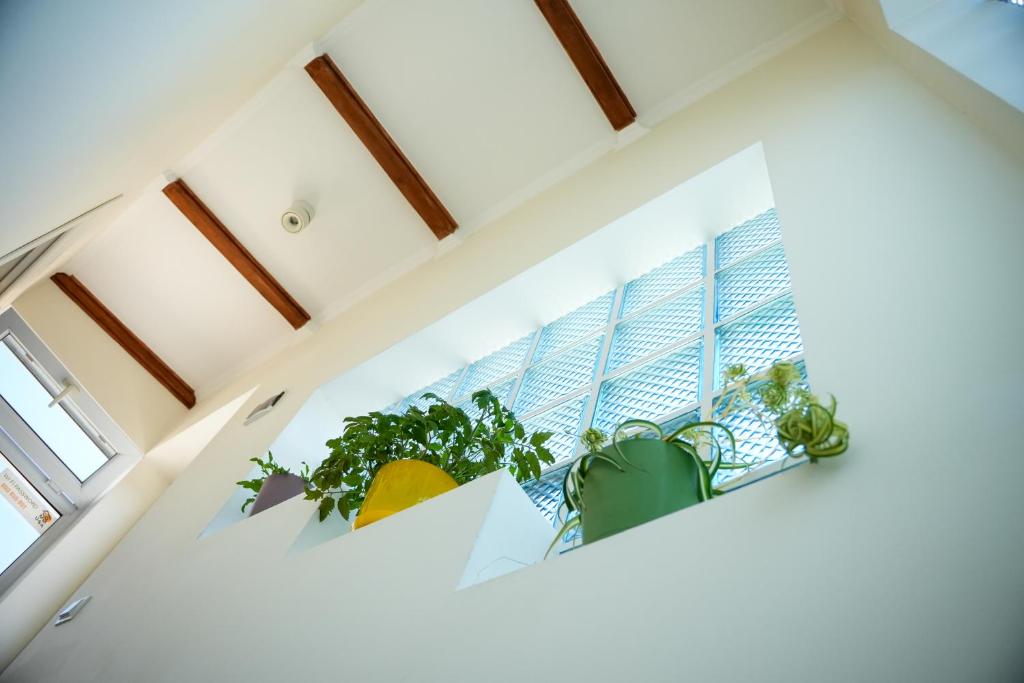 Fotografie z fotogalerie ubytování Communa Guesthouse v destinaci Gjumri