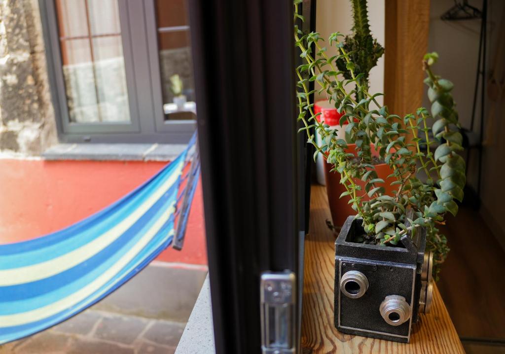 Zahrada ubytování Communa Guesthouse