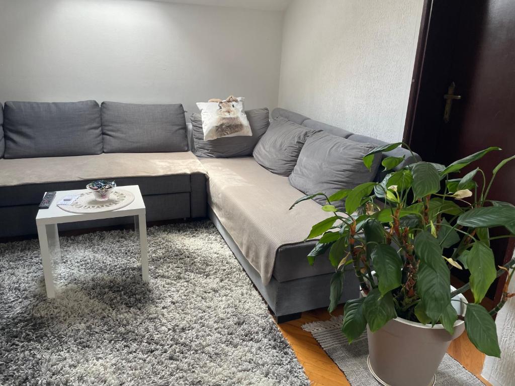 Posezení v ubytování Apartman 1