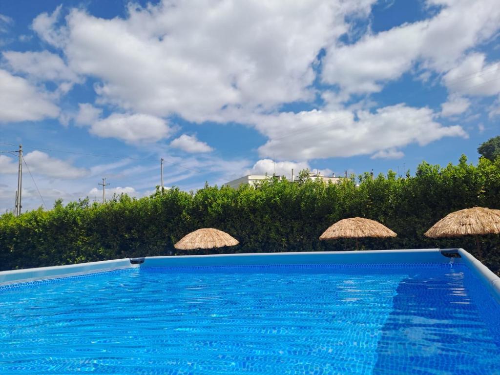 a swimming pool with straw umbrellas next to a hedge at Trulli di Rosa in Locorotondo