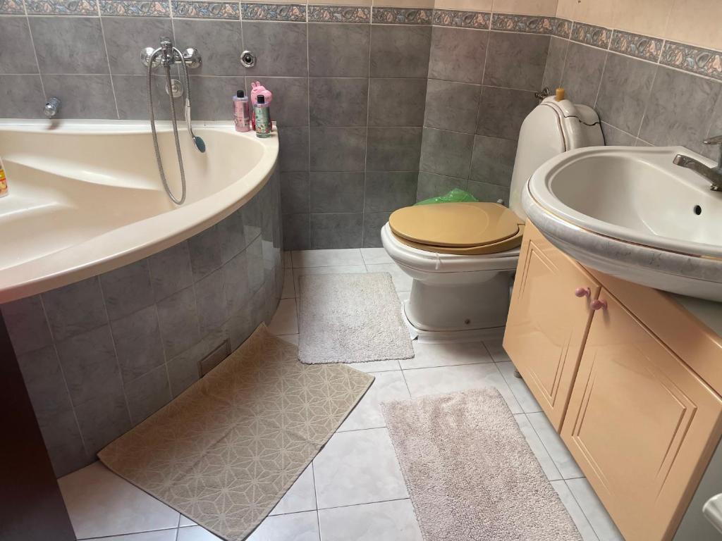 Koupelna v ubytování Apartman 1