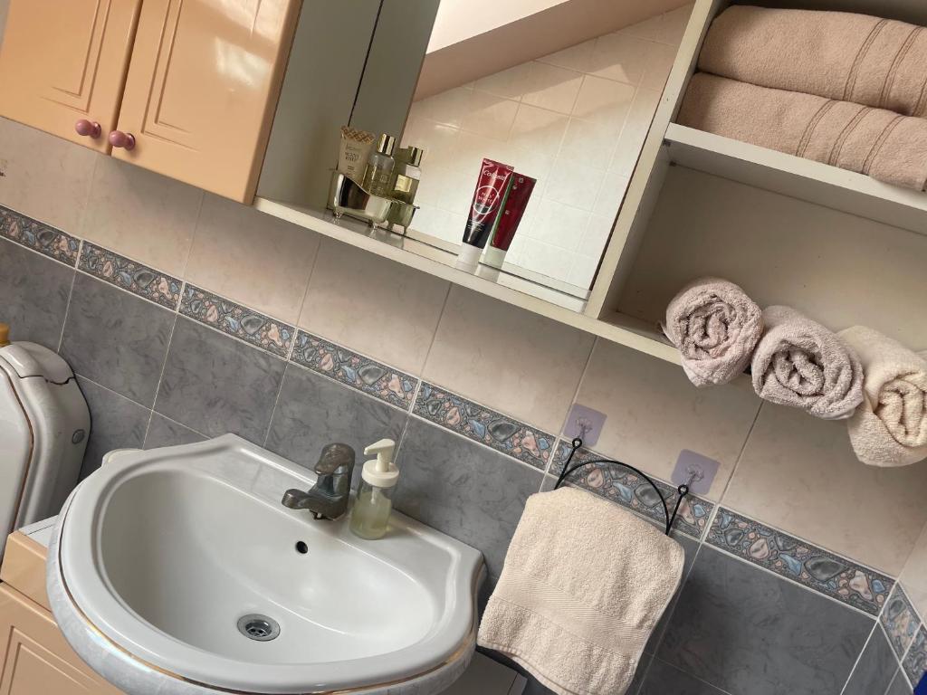 Koupelna v ubytování Apartman 1