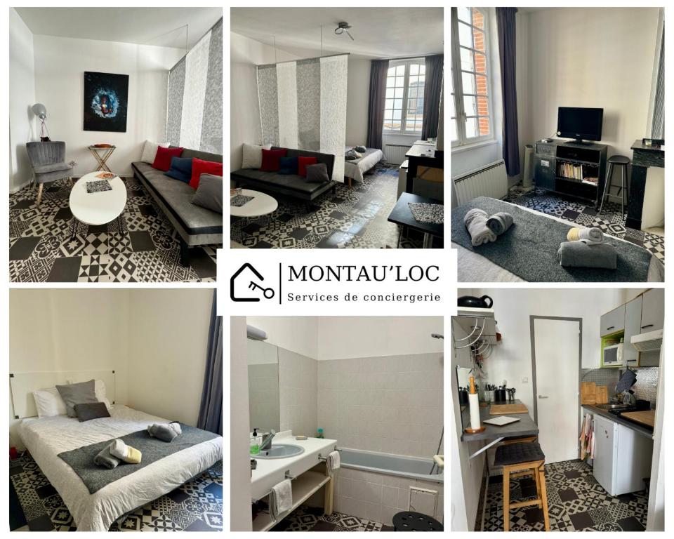 un collage di quattro immagini di un soggiorno di L appartement du centre a Montauban
