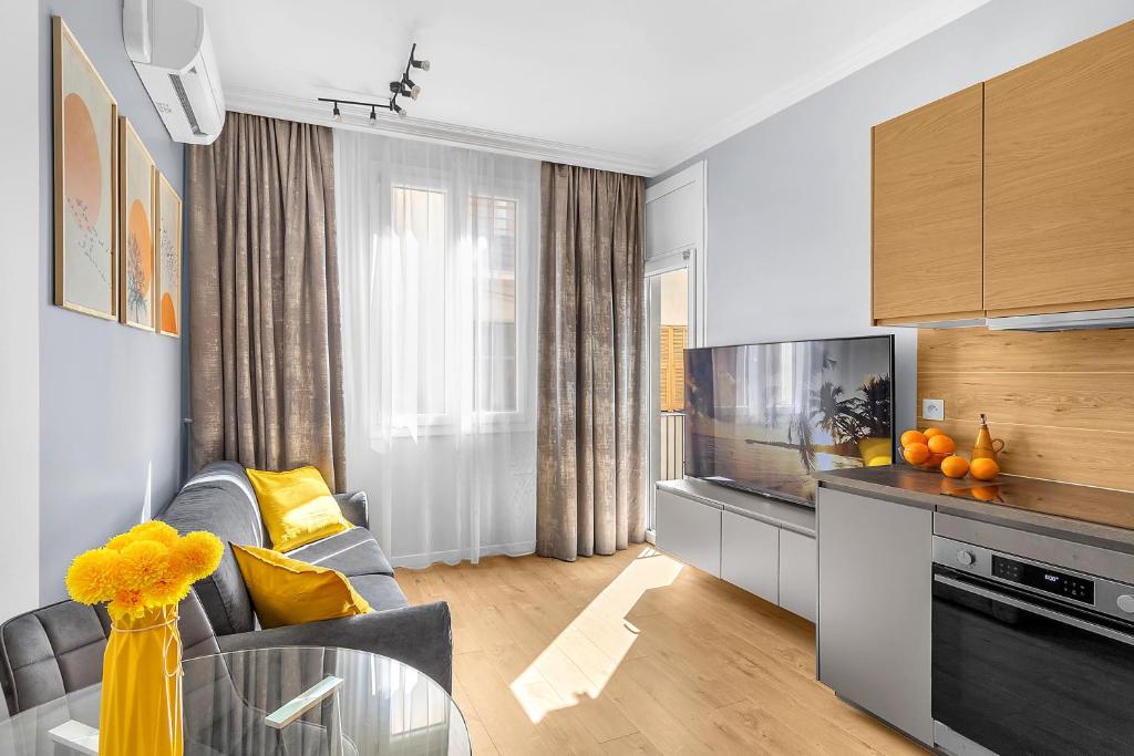 a living room with a couch and a television at Gorgeous apartment in the center in Nice