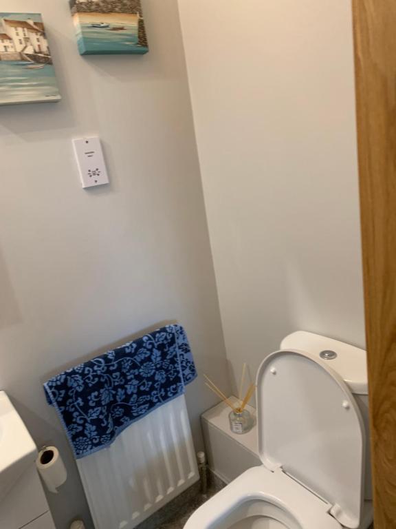 a bathroom with a toilet with a blue towel on it at Pennisula Apartment in Portrush