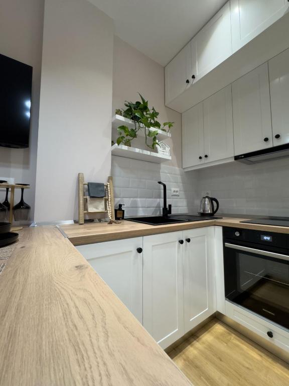 Kuchyň nebo kuchyňský kout v ubytování PAVÉ Apartment