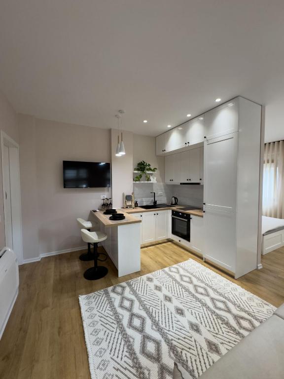 Kuchyň nebo kuchyňský kout v ubytování PAVÉ Apartment