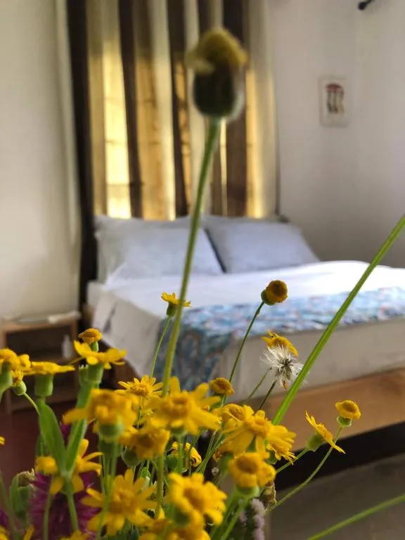 The 10 best homestays in Moshi Tanzania Booking com 