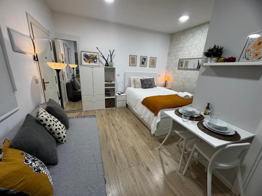 Estudio Interior en el Centro de Madrid