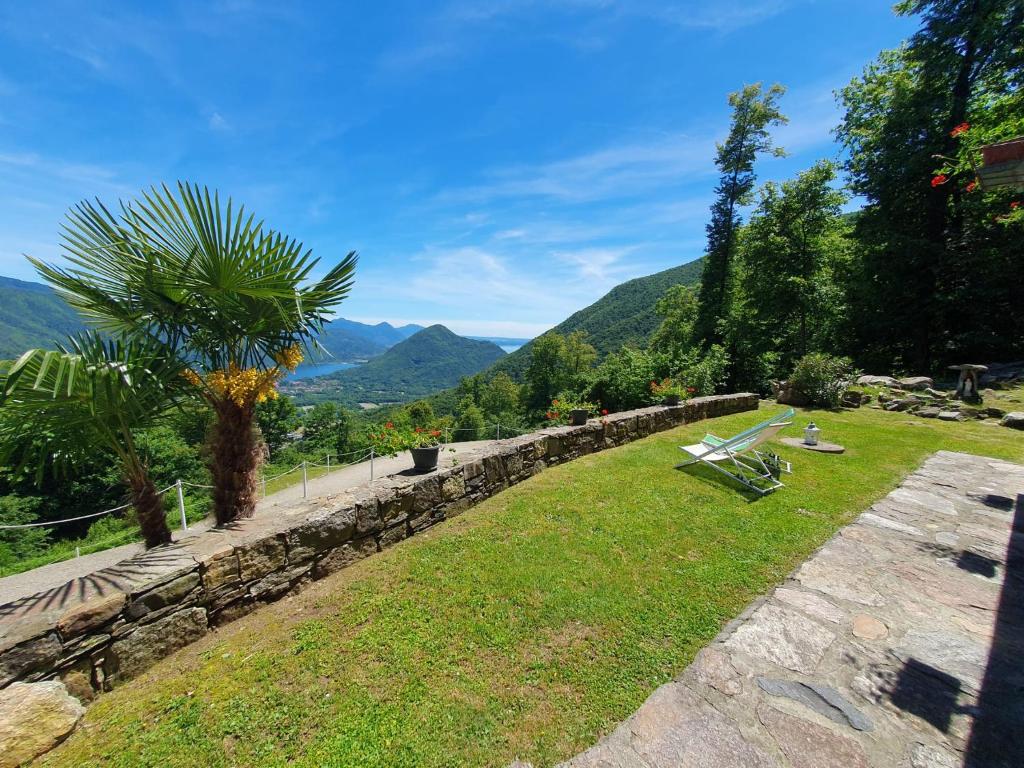 un parque con una palmera y una pared de piedra en La Ca dal Rino - Baita Panoramica Ecosostenibile, en Ornavasso