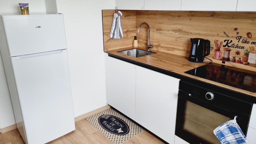 Appartement moderne Treeland - Basel - Airport – photo 17