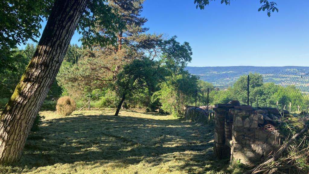 un chemin avec un arbre et un mur en pierre dans l'établissement Maison au GRAND calme, à Beurrières