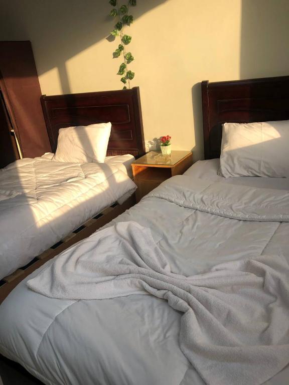 Postel nebo postele na pokoji v ubytování Najm Pyramids iNN