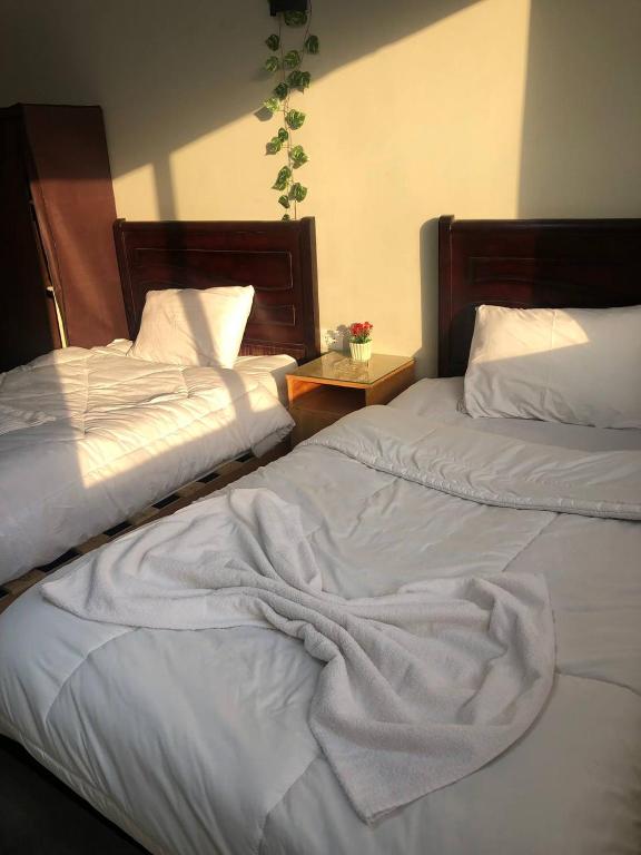 Postel nebo postele na pokoji v ubytování Najm Pyramids iNN