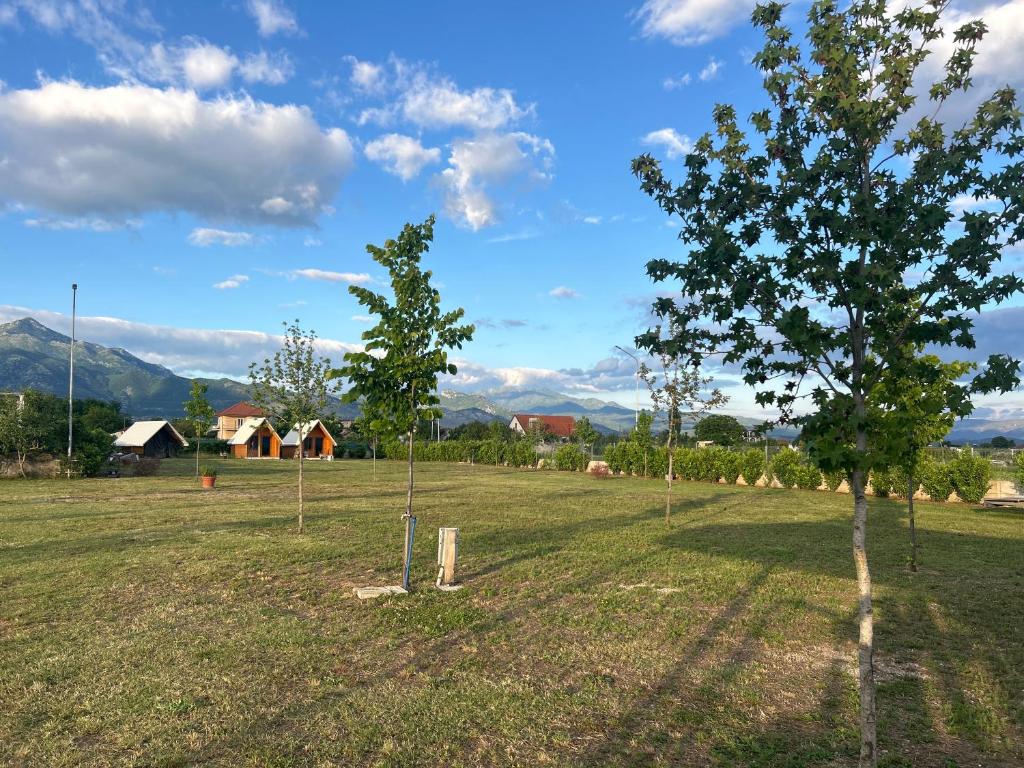 Priroda u blizini kampova
