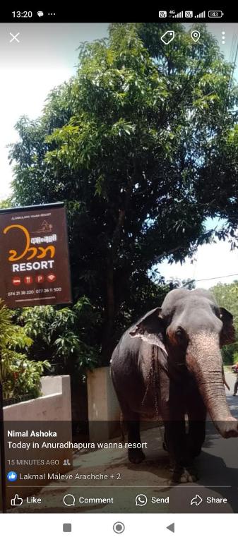 Fotografie z fotogalerie ubytování Alankulama Wana Resort v destinaci Anuradhápura