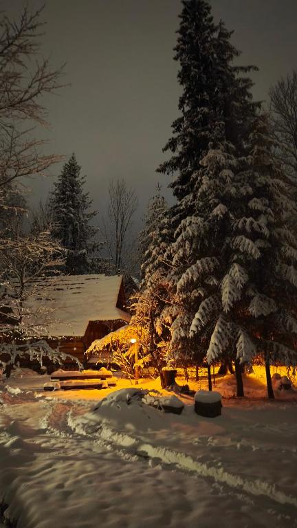 Domek Raj Zakopane v zime