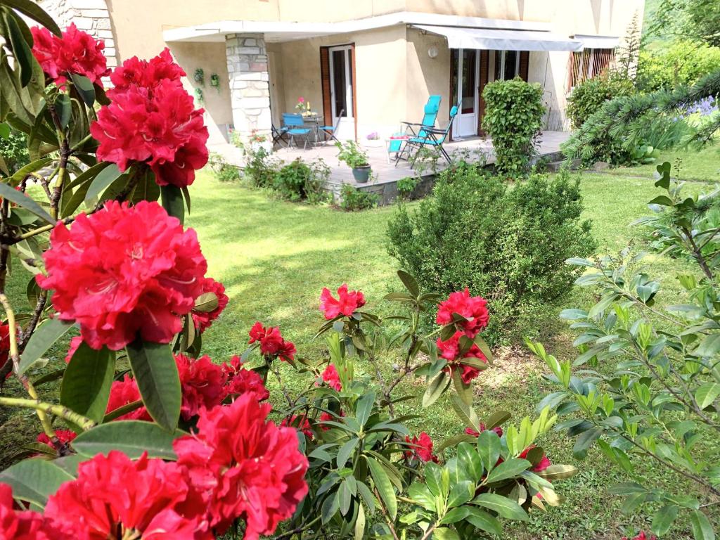 un jardin avec des fleurs rouges en face d'une maison dans l'établissement T3 dans villa 