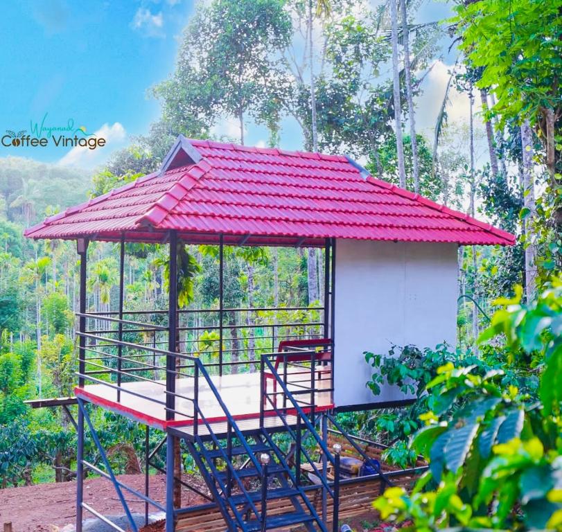 Zahrada ubytování Wayanad Coffee Vintage