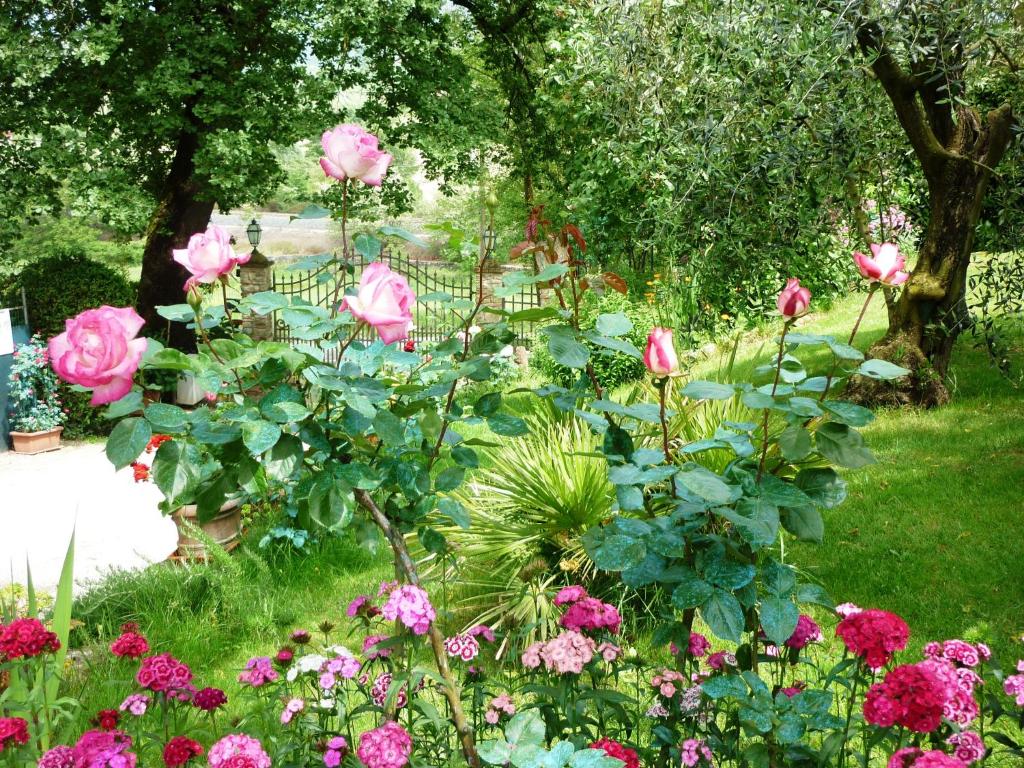Zahrada ubytování B&B Casale Ginette