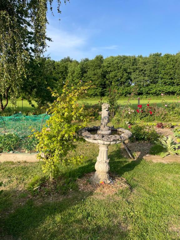 Zahrada ubytování Le Manoir de la Bigotière