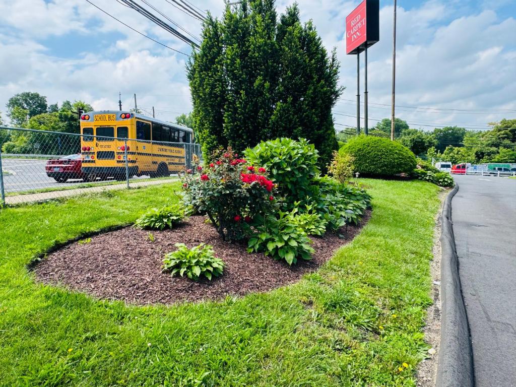 红地毯酒店- 斯坦福德,斯坦福德（2026年最新房价）