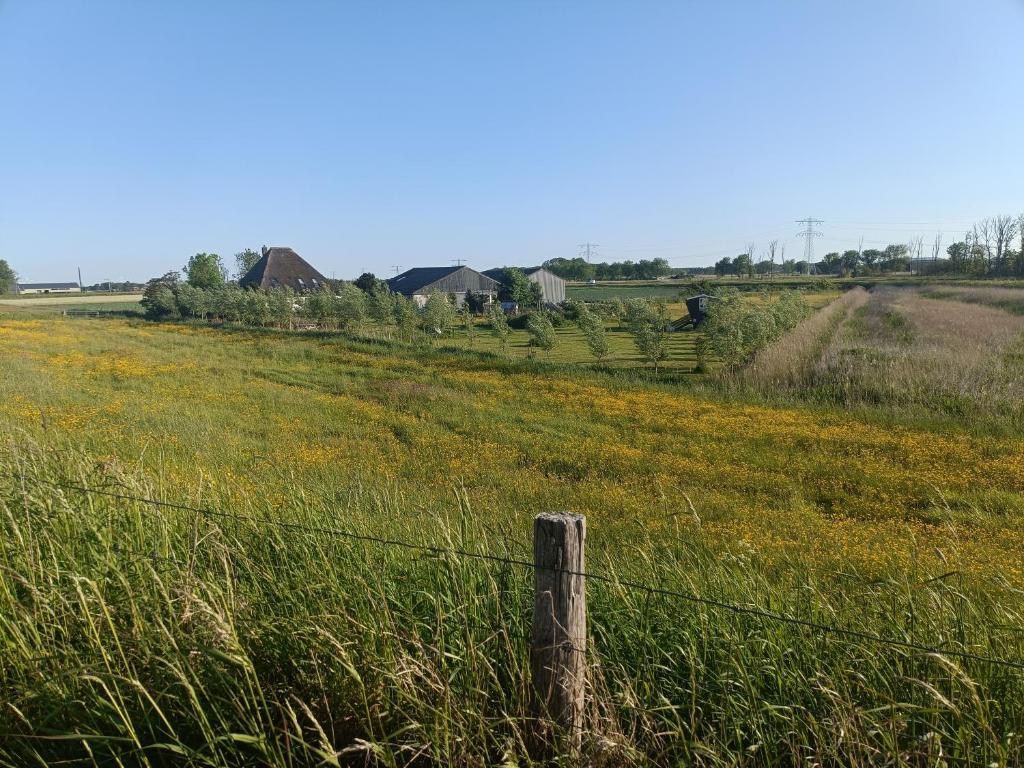 a fence in the middle of a field with flowers at Farmstay Zijperdijk in Anna Paulowna