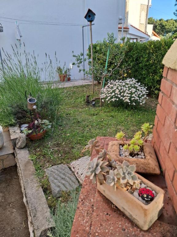 Zahrada ubytování Little house Kućica