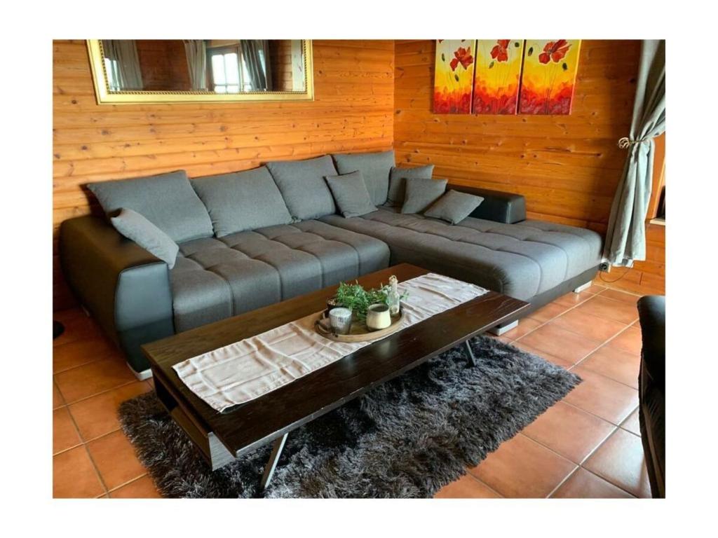 un salon avec un canapé et une table basse dans l'établissement Holiday home with 3 bedrooms, à Sankt-Andreasberg