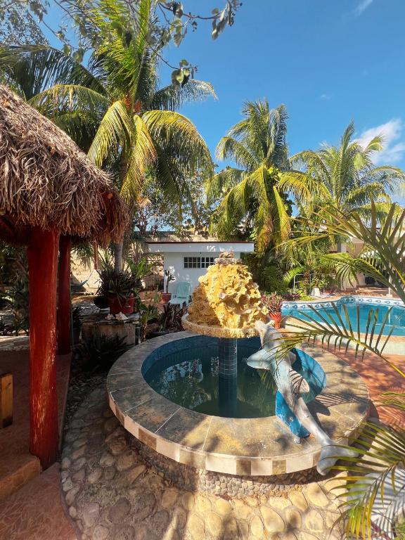 Bazén v ubytování Casamaya Hostel & Diving nebo v jeho okolí