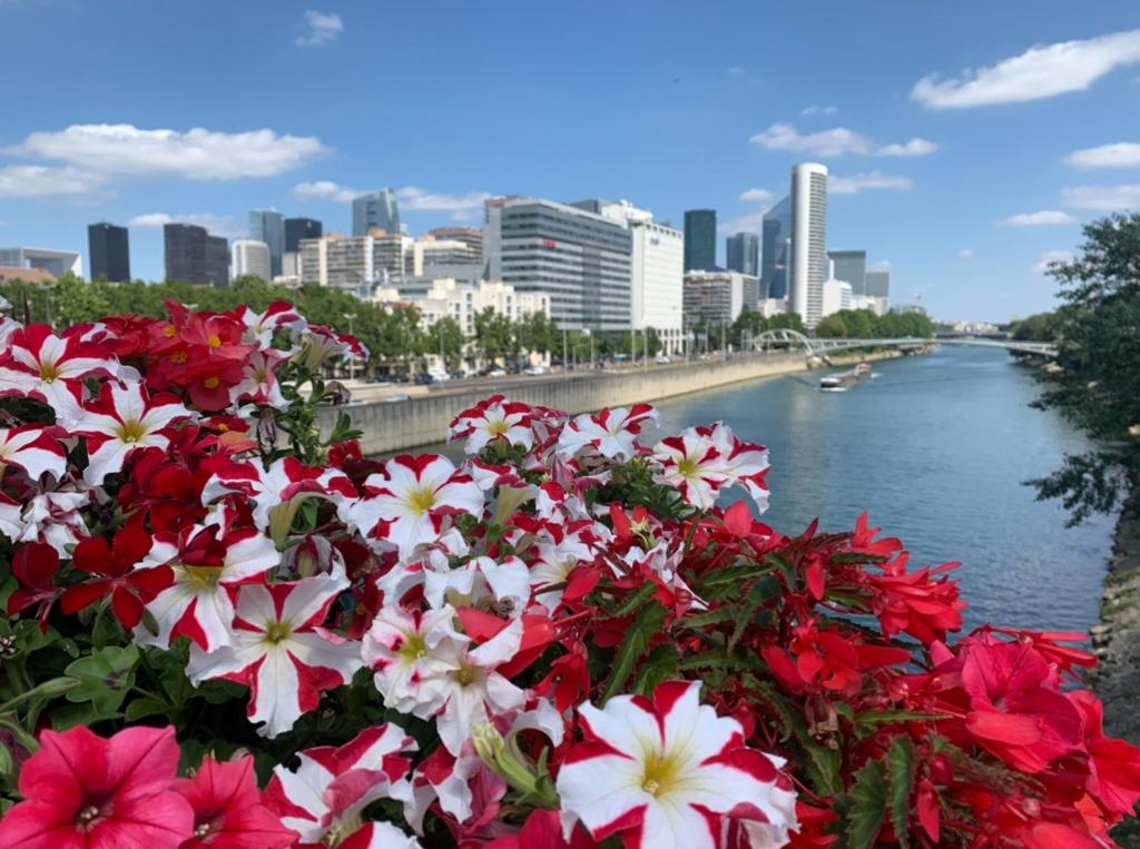 a bunch of red and white flowers next to a river at Appartement Confort - Puteaux La Défense in Puteaux