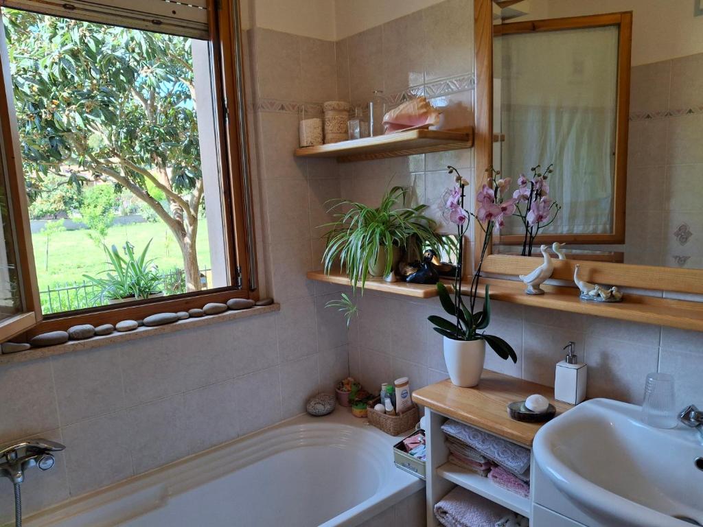 Koupelna v ubytování Casa dei glicini