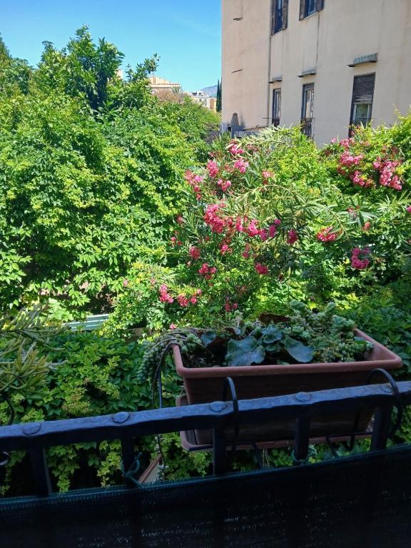 B&B Casa Degli Artisti - 18